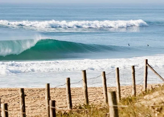 A 2 Pas De La Plage! Apartamento