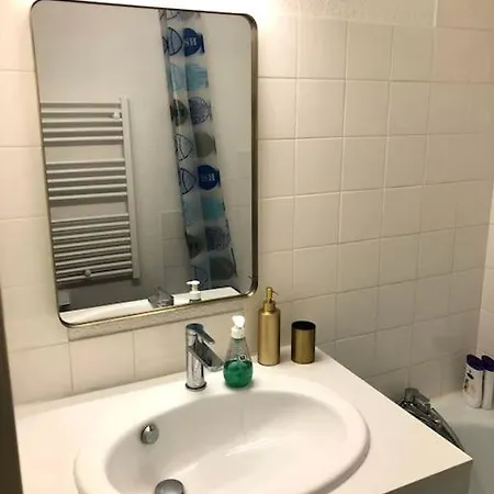 公寓 A 2 Pas De La Plage! 索尔特奥瑟戈尔